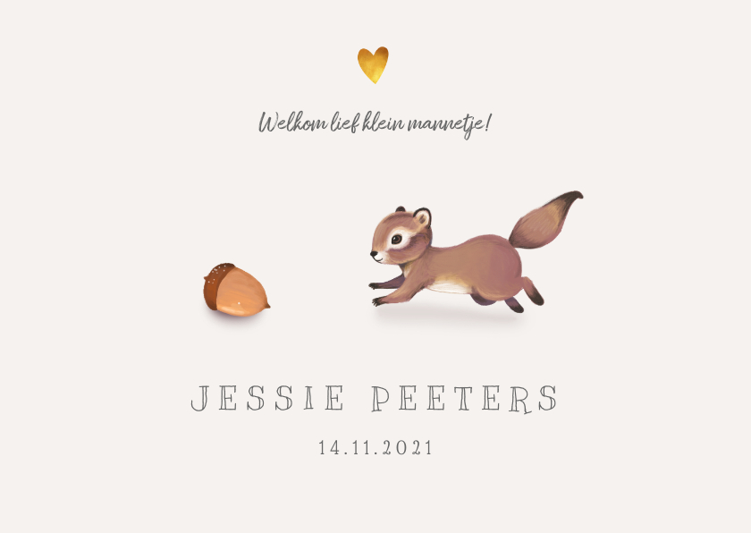 Geboortekaartje lief met eekhoorn voor jongen/meisje - Geboortekaartjes Geboortekaartjes - Geboortekaartje lief met eekhoorn voor jongen/meisje