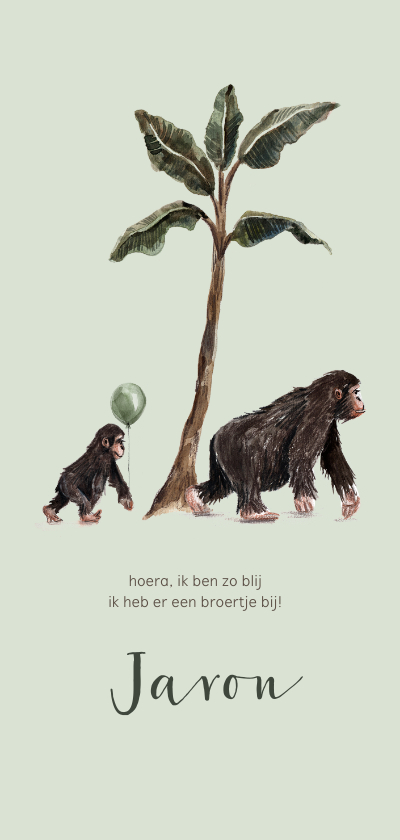 Geboortekaartje mama aap met kleine aap en ballon - Geboortekaartjes Geboortekaartjes - Geboortekaartje mama aap met kleine aap en ballon