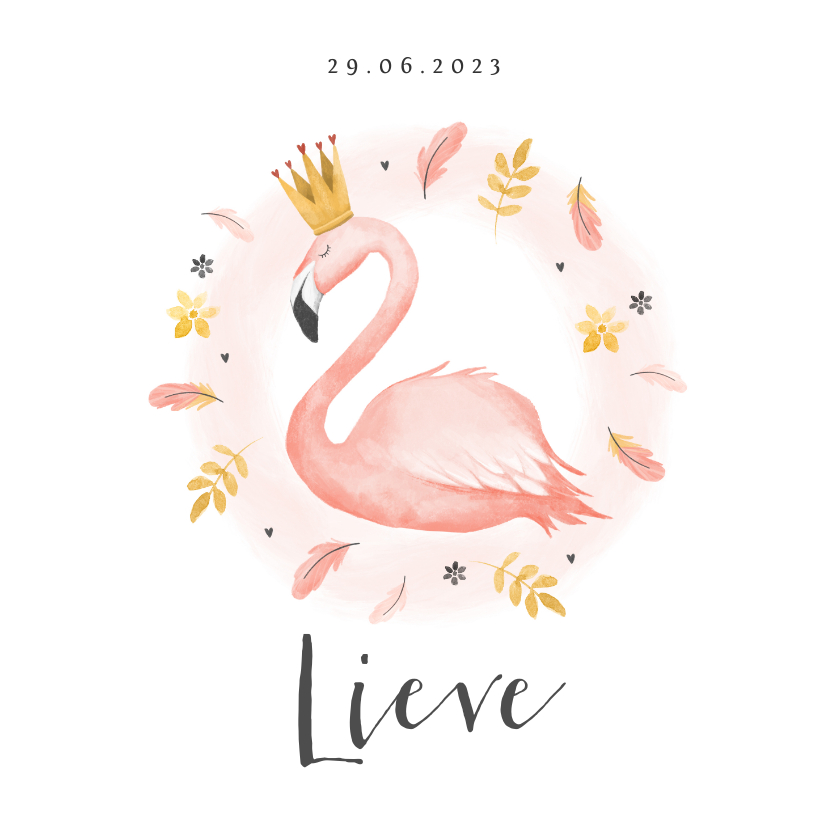 Geboortekaartje meisje flamingo veertjes verf kroontje - Geboortekaartjes Geboortekaartjes - Geboortekaartje meisje flamingo veertjes verf kroontje