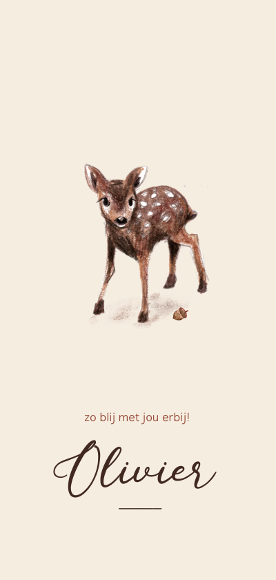 Geboortekaartjes - Geboortekaartje met een illustratie van een lief hertje