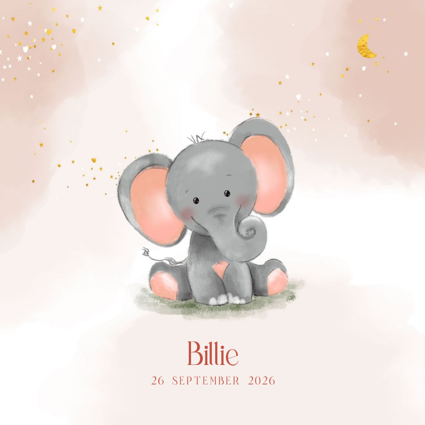 Geboortekaartjes - Geboortekaartje met een schattig olifantje en sterren