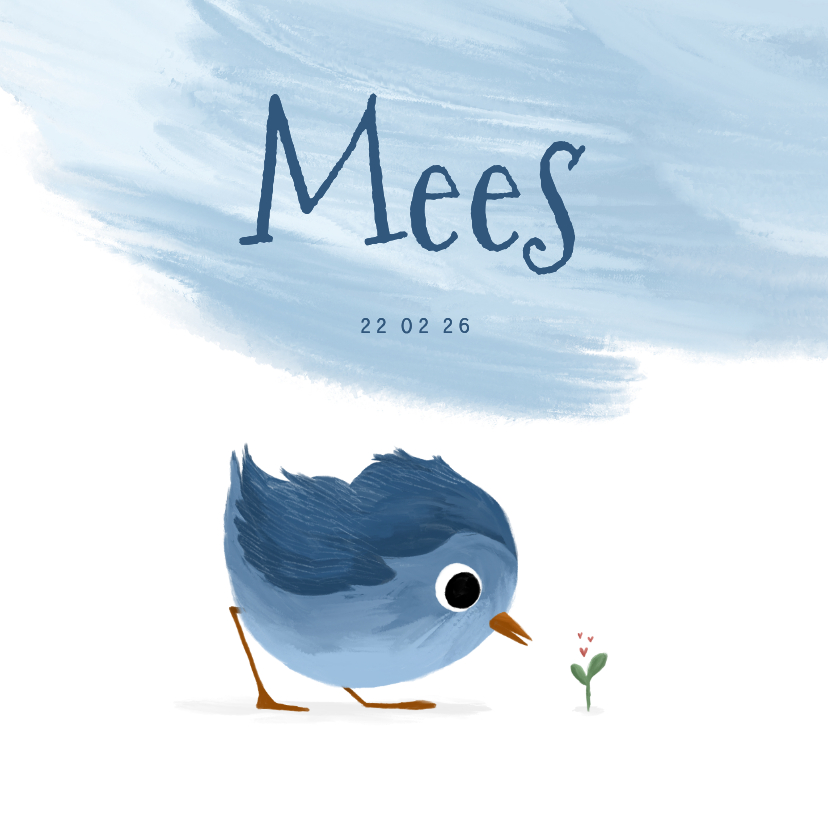 Geboortekaartjes - Geboortekaartje met lief vogeltje en verfstreep