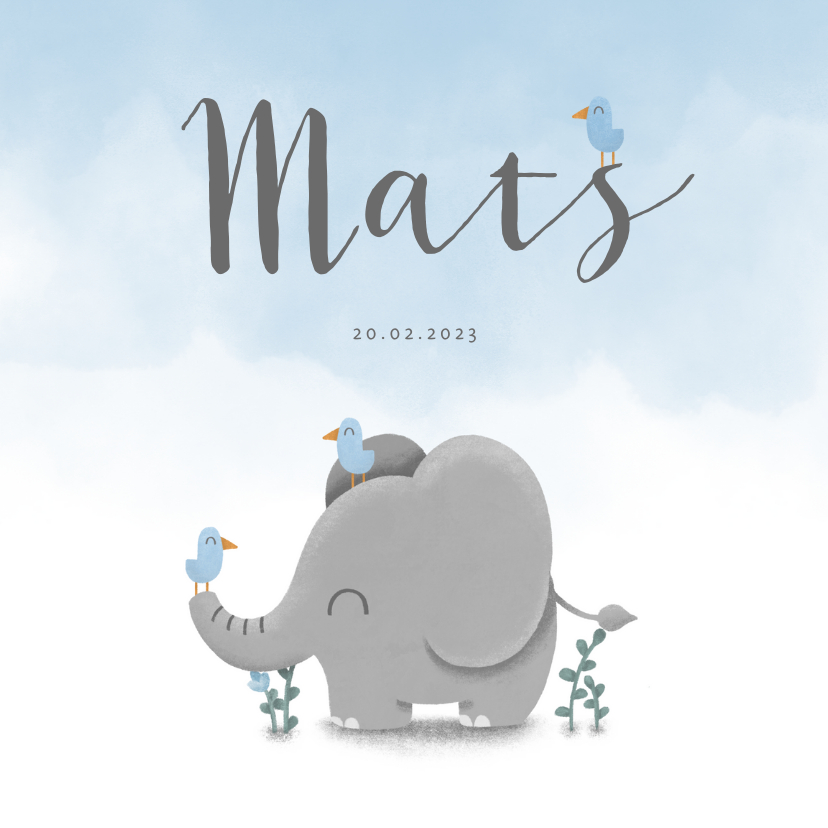 Geboortekaartje met lieve olifant, vogeltjes en waterverf - Geboortekaartjes Geboortekaartjes - Geboortekaartje met lieve olifant, vogeltjes en waterverf