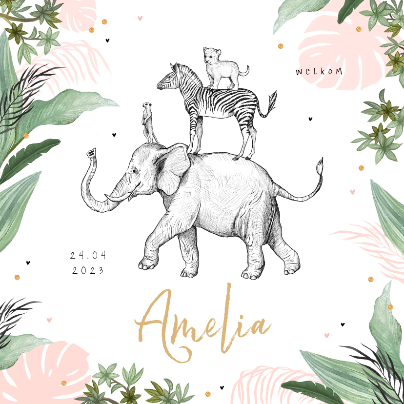 Geboortekaartje olifant leeuw jungle dieren confetti meisje - Geboortekaartjes Geboortekaartjes - Geboortekaartje olifant leeuw jungle dieren confetti meisje