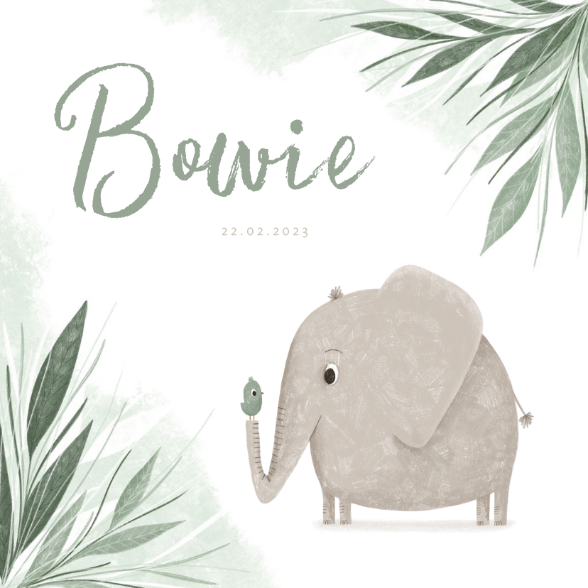 Geboortekaartje olifant met vogel en groene jungle blaadjes - Geboortekaartjes Geboortekaartjes - Geboortekaartje olifant met vogel en groene jungle blaadjes