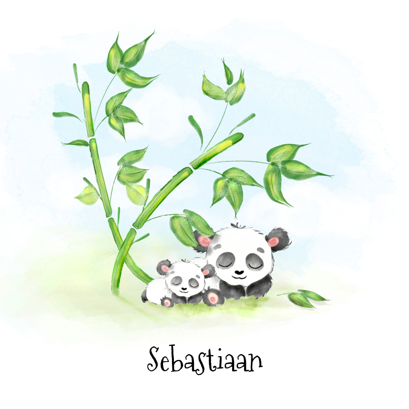 Geboortekaartjes - Geboortekaartje panda met bamboe