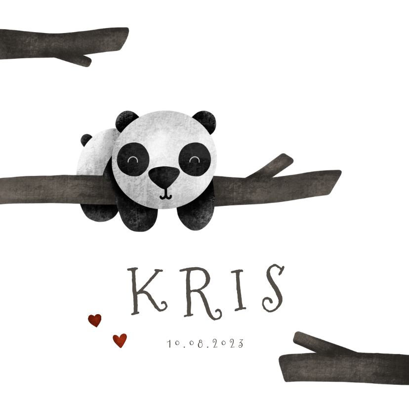 Geboortekaartje panda met takjes lief - Geboortekaartjes Geboortekaartjes - Geboortekaartje panda met takjes lief
