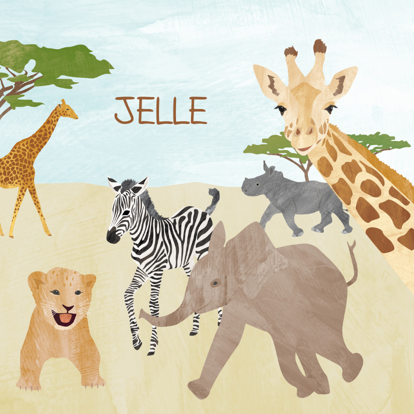 Geboortekaartjes - Geboortekaartje safari
