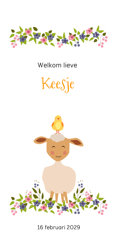 Geboortekaartje schaapje en kuikentje - Geboortekaartjes Geboortekaartjes - Geboortekaartje schaapje en kuikentje