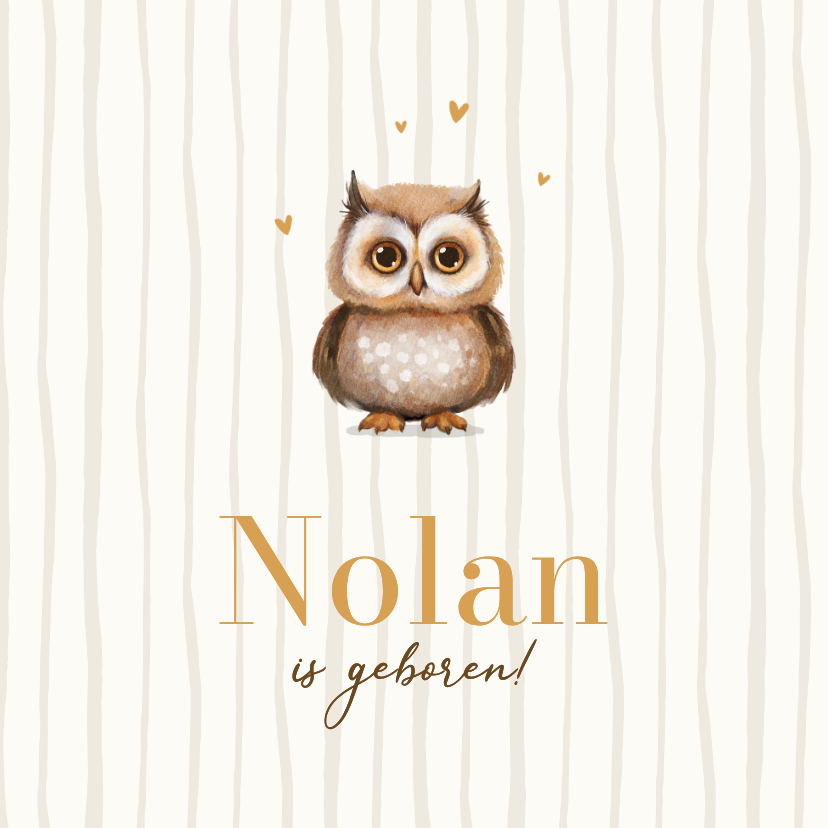 Geboortekaartjes - Geboortekaartje schattig uiltje beige lief gestreept