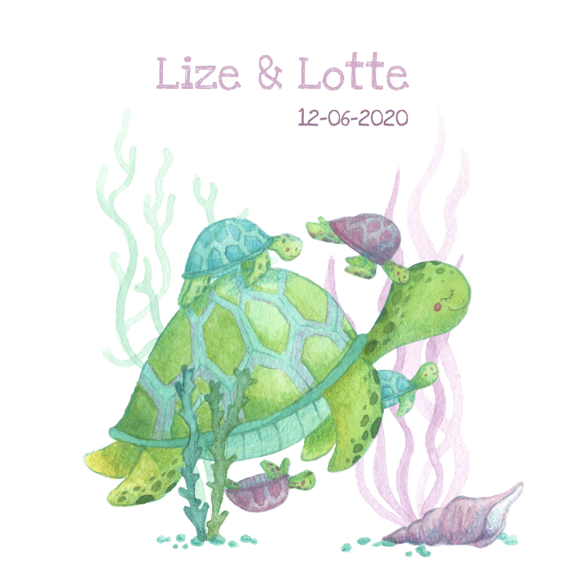 Geboortekaartje schildpadjes meerling - Geboortekaartjes Geboortekaartjes - Geboortekaartje schildpadjes meerling