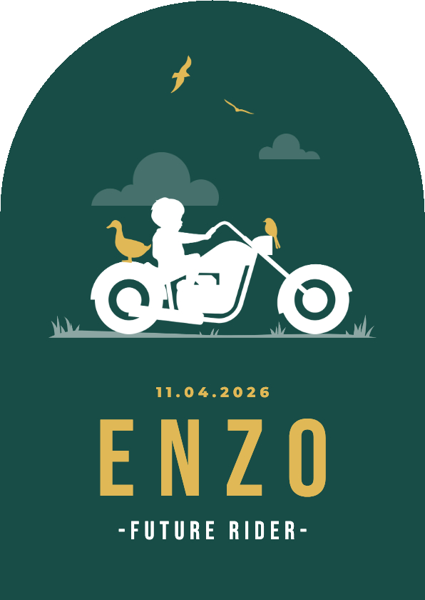 Geboortekaartjes - Geboortekaartje stoer silhouet motor jongen vogels