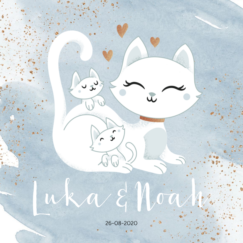 Geboortekaartje tweeling jongens poesje kat kitten waterverf - Geboortekaartjes Geboortekaartjes - Geboortekaartje tweeling jongens poesje kat kitten waterverf