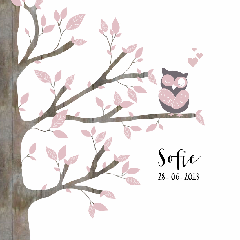 Geboortekaartje Uil Boom Meisje - Geboortekaartjes Geboortekaartjes - Geboortekaartje Uil Boom Meisje