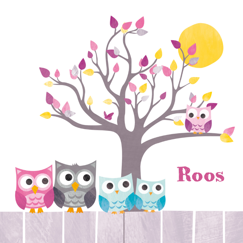 Geboortekaartje uiltje twee broertjes - Geboortekaartjes Geboortekaartjes - Geboortekaartje uiltje twee broertjes