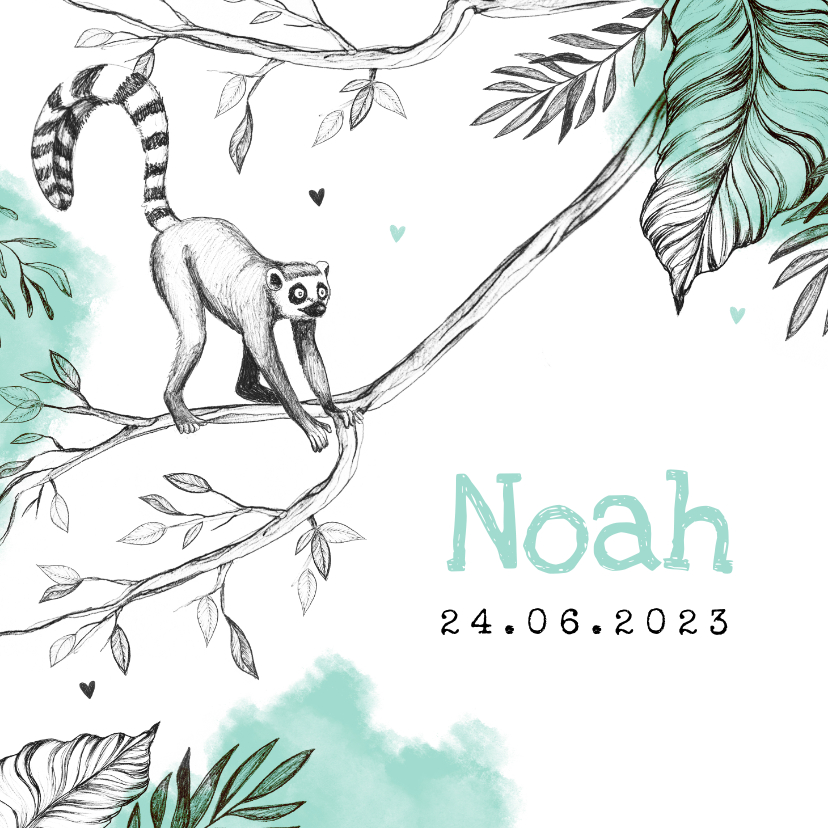 Geboortekaartje unisex dieren jungle maki mint - Geboortekaartjes Geboortekaartjes - Geboortekaartje unisex dieren jungle maki mint