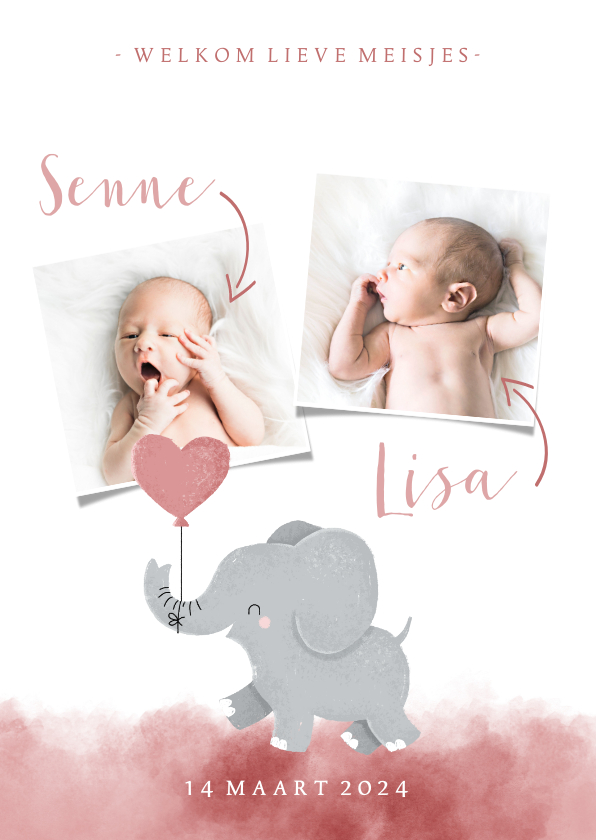 Geboortekaartjes - Geboortekaartje voor een tweeling met olifantje met ballon