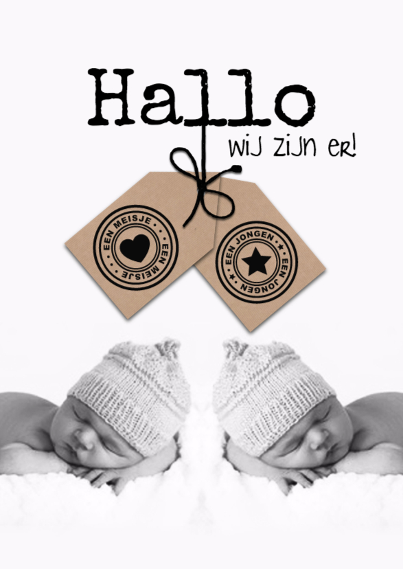 Geboortekaartje voor tweeling met labels - Geboortekaartjes Geboortekaartjes - Geboortekaartje voor tweeling met labels