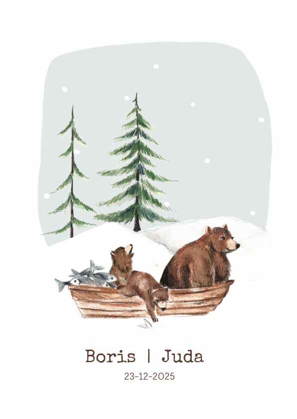 Geboortekaartjes - Geboortekaartje winter tweeling beren in een bootje