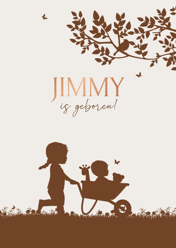 Geboortekaartje zusje met baby broertje in kruiwagen - Geboortekaartjes Geboortekaartjes - Geboortekaartje zusje met baby broertje in kruiwagen