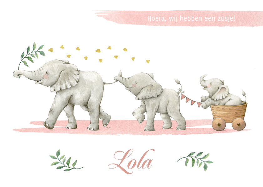 Geboortekaartjes - Geboortekaartje zusje met drie vrolijke olifantjes