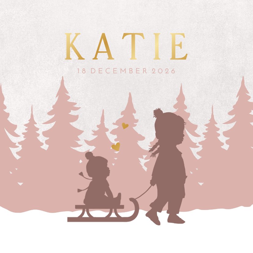 Geboortekaartjes - Geboortekaartje zusjes met slee