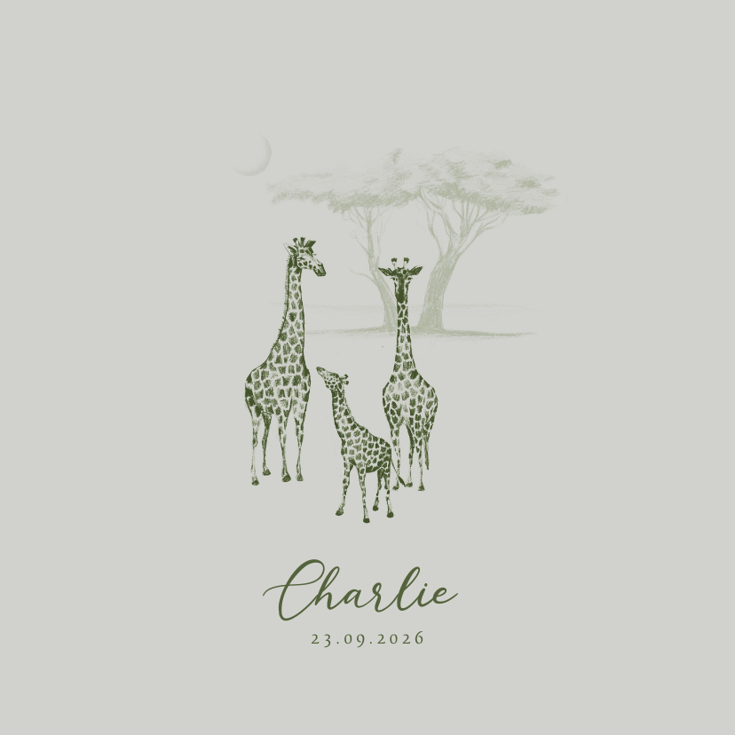 Geboortekaartjes - Groen geboortekaartje jungle drie giraffen getekend