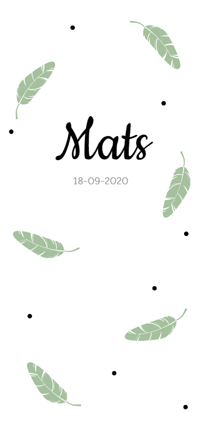 Groene veertjes en stipjes - Geboortekaartjes Geboortekaartjes - Groene veertjes en stipjes