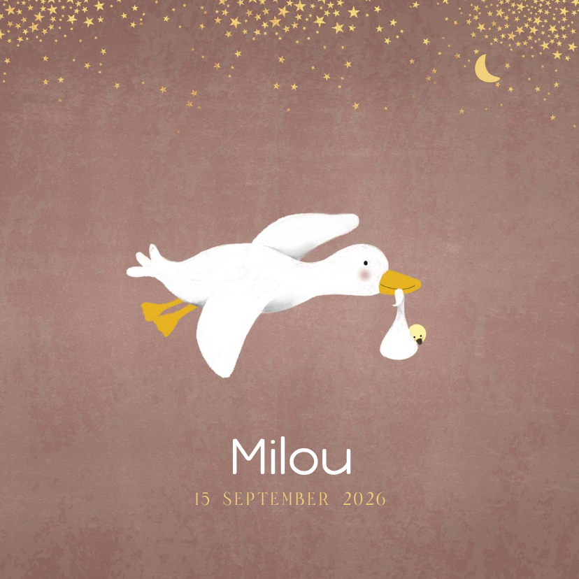 Geboortekaartjes - Hip geboortekaartje gans met nostalgisch tintje