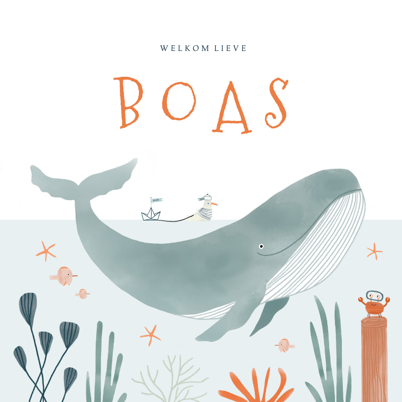 Geboortekaartjes - Hip geboortekaartje oceaan walvis dieren illustratie