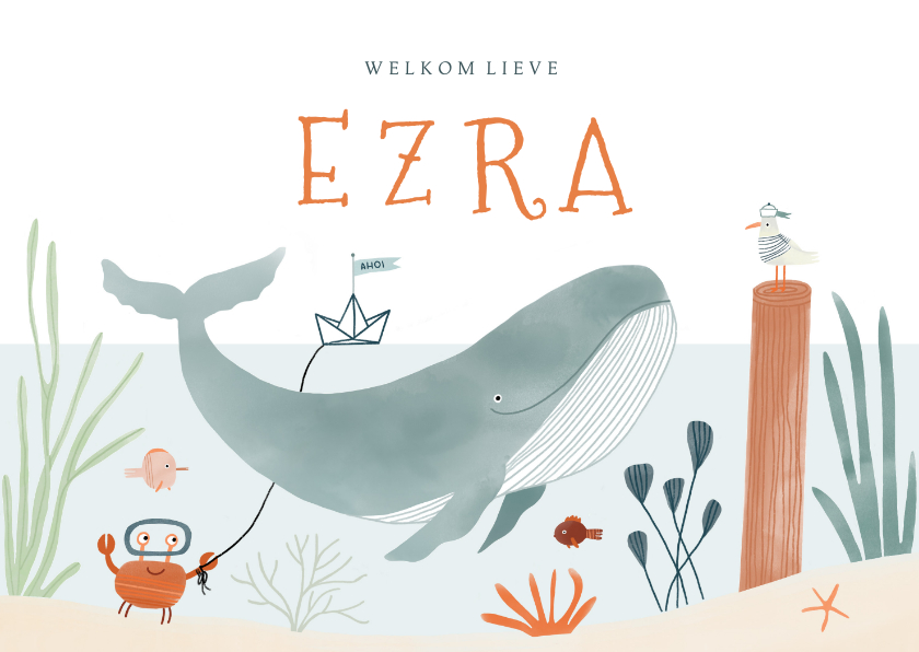 Hip geboortekaartje onderwater walvis dieren illustratie - Geboortekaartjes Geboortekaartjes - Hip geboortekaartje onderwater walvis dieren illustratie