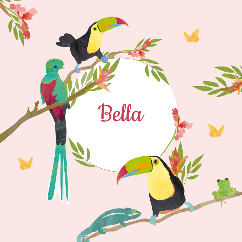 Kleurrijk geboortekaartje vogels - Geboortekaartjes Geboortekaartjes - Kleurrijk geboortekaartje vogels