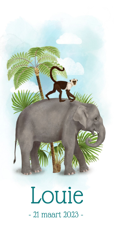 Geboortekaartjes - Langwerpig geboortekaartje olifant met aapje