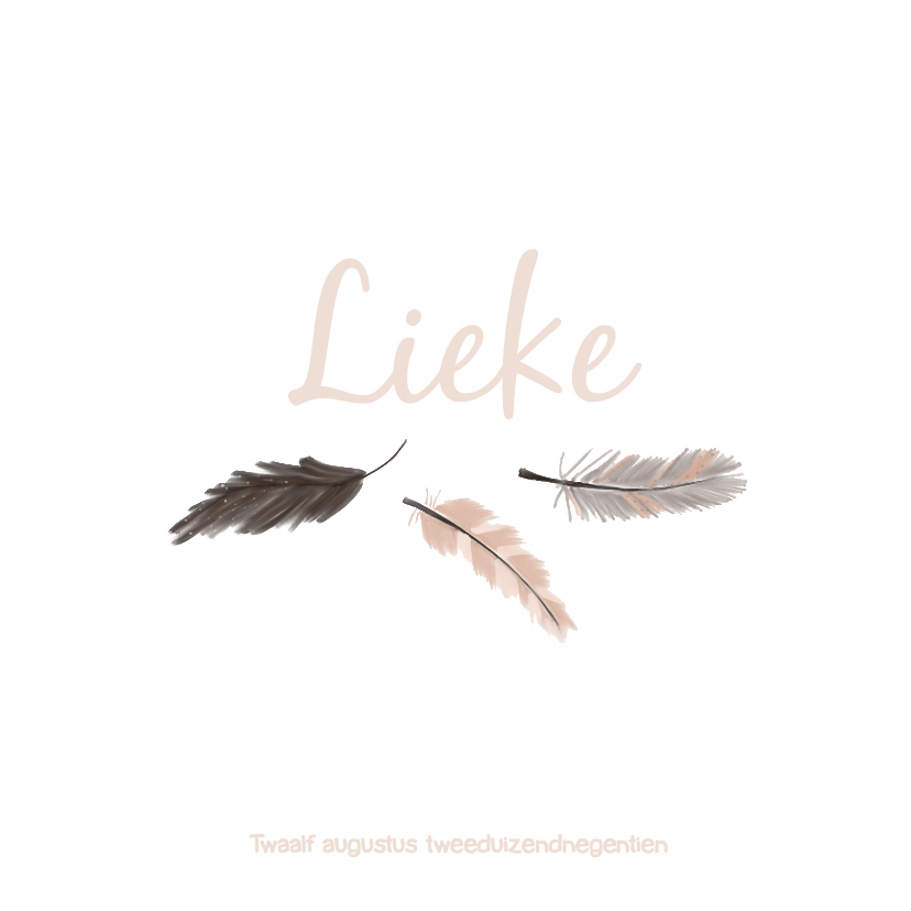 Lief Bohemian geboortekaartje met veertjes - Geboortekaartjes Geboortekaartjes - Lief Bohemian geboortekaartje met veertjes