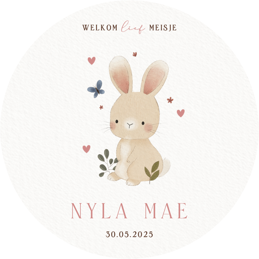 Geboortekaartjes - Lief geboortekaartje konijntje plantjes vlinder en hartjes