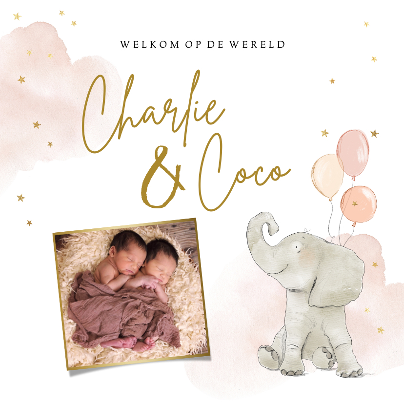 Lief geboortekaartje met olifantje ballonnen en foto - Geboortekaartjes Geboortekaartjes - Lief geboortekaartje met olifantje ballonnen en foto