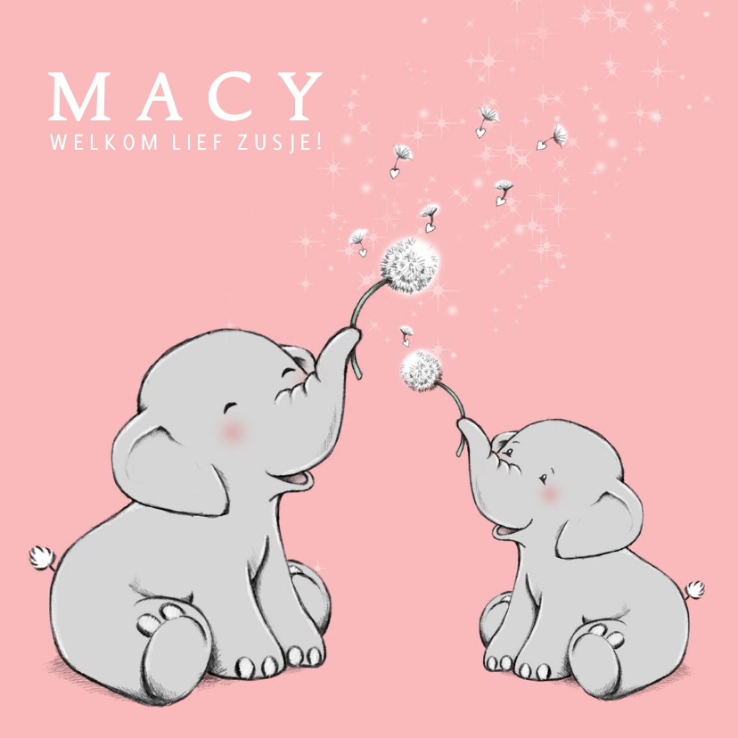 Geboortekaartjes - Lief geboortekaartje zusje met olifantjes en paardebloem
