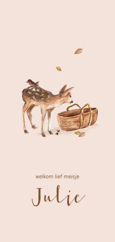 Lief roze geboortekaartje met bosdieren en een mozes mandje - Geboortekaartjes Geboortekaartjes - Lief roze geboortekaartje met bosdieren en een mozes mandje