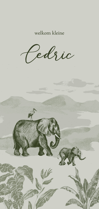 Geboortekaartjes - Olijfgroen jungle geboortekaartje met getekende olifanten