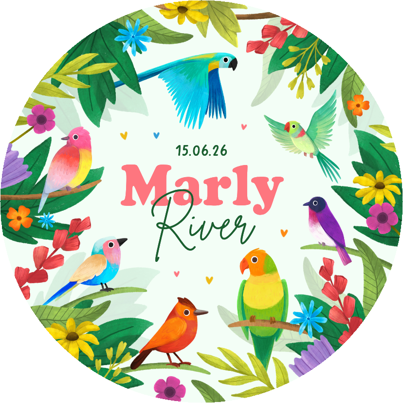 Rond geboortekaartje tropische vogels kleurrijk - Geboortekaartjes Geboortekaartjes - Rond geboortekaartje tropische vogels kleurrijk