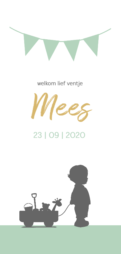 Silhouet jongetje met kar - Geboortekaartjes Geboortekaartjes - Silhouet jongetje met kar