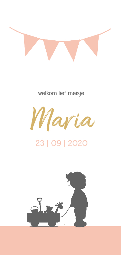 Silhouet meisje met kar - Geboortekaartjes Geboortekaartjes - Silhouet meisje met kar