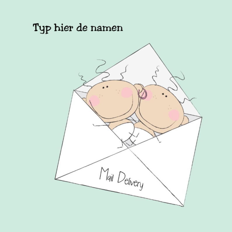 Special Mail Delivery tweeling - Geboortekaartjes Geboortekaartjes - Special Mail Delivery tweeling