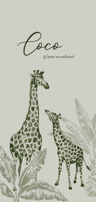 Vintage jungle geboortekaartje handgetekend giraffe kleintje - Geboortekaartjes Geboortekaartjes - Vintage jungle geboortekaartje handgetekend giraffe kleintje