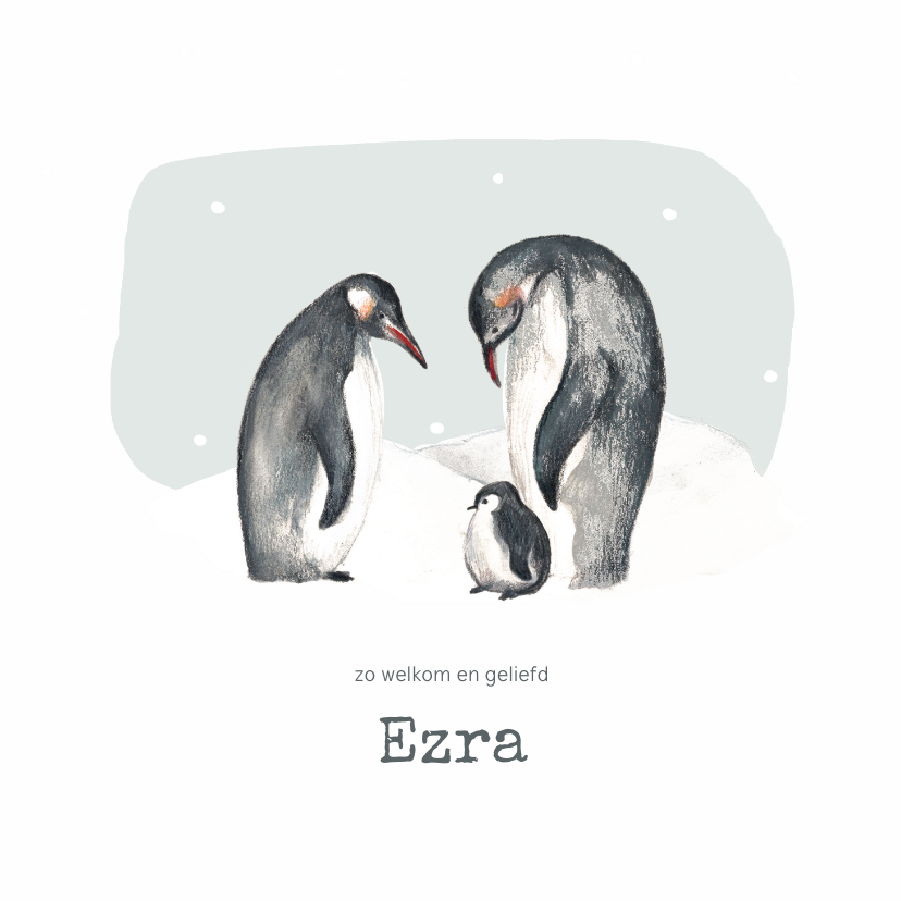 Geboortekaartjes - Winter geboortekaartje pinguins blauw met sneeuwvlokken
