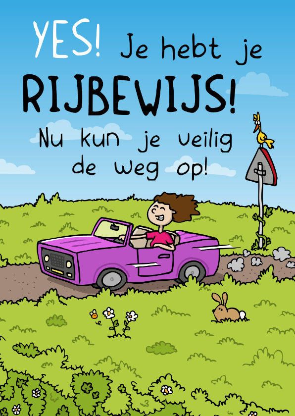 Geslaagd kaarten - Felicitatie Rijbewijs - veilig de weg op!