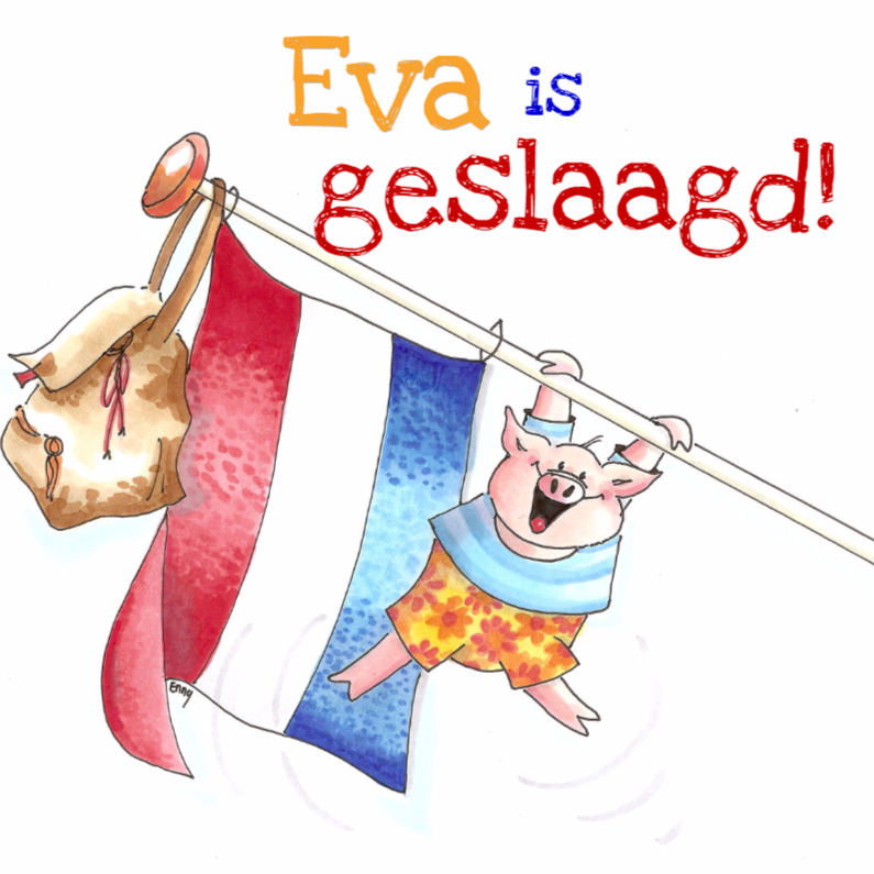 Geslaagd -hoera je bent geslaagd - Geslaagd kaarten Geslaagd kaarten - Geslaagd -hoera je bent geslaagd