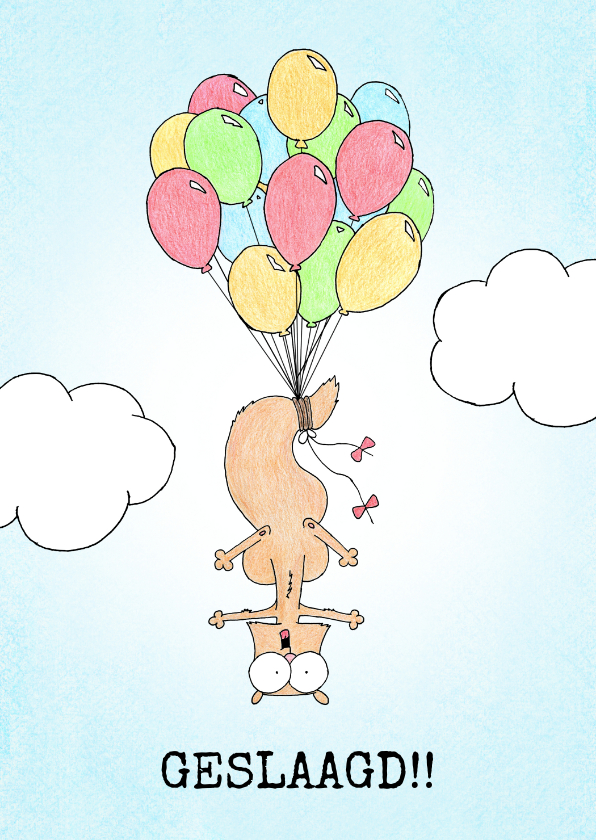 Geslaagd kaart met eekhoorntje vastgeknoopt aan ballonnen - Geslaagd kaarten Geslaagd kaarten - Geslaagd kaart met eekhoorntje vastgeknoopt aan ballonnen