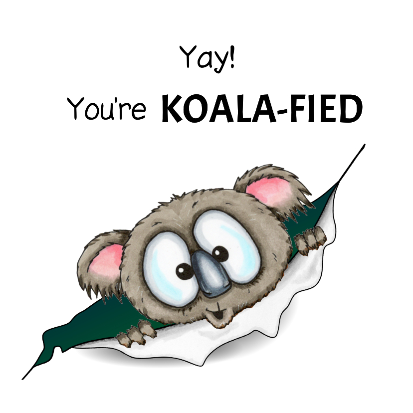 Geslaagd kaart you're koala-fied - Geslaagd kaarten Geslaagd kaarten - Geslaagd kaart you're koala-fied
