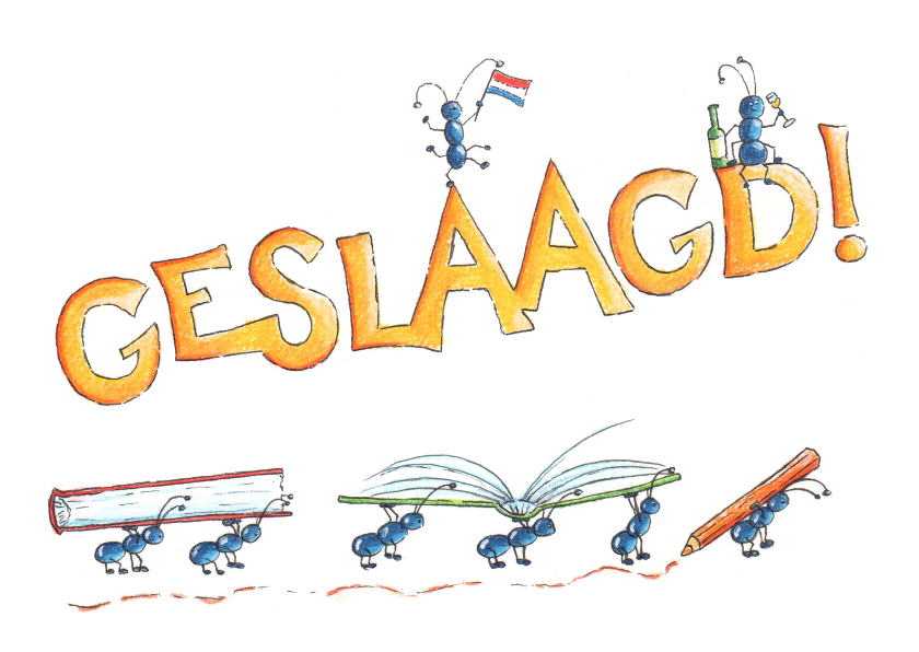 Geslaagd Mieren - Geslaagd kaarten Geslaagd kaarten - Geslaagd Mieren